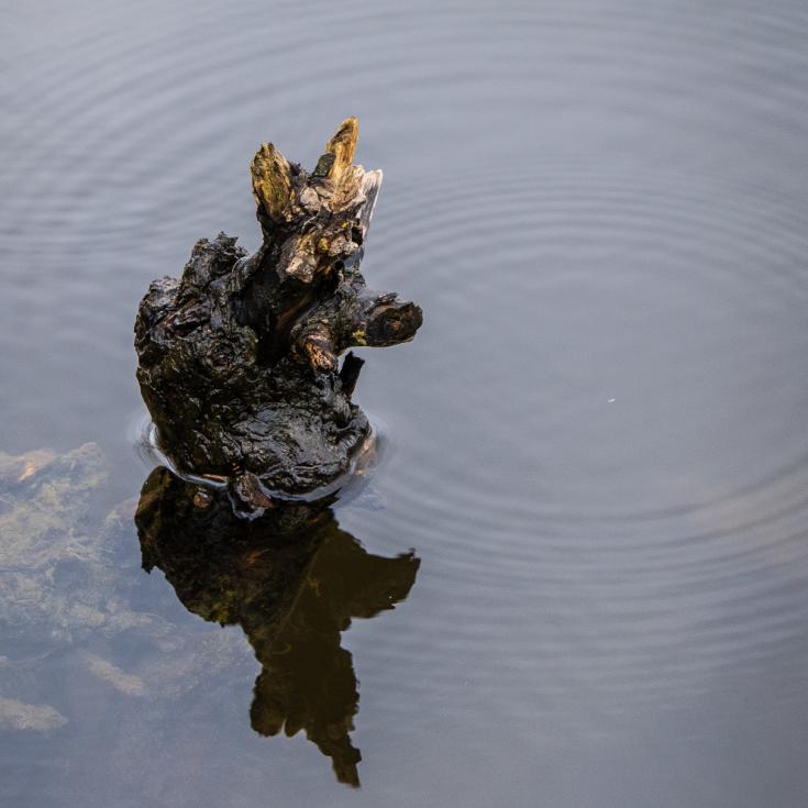 Cours Photo - La Graviere